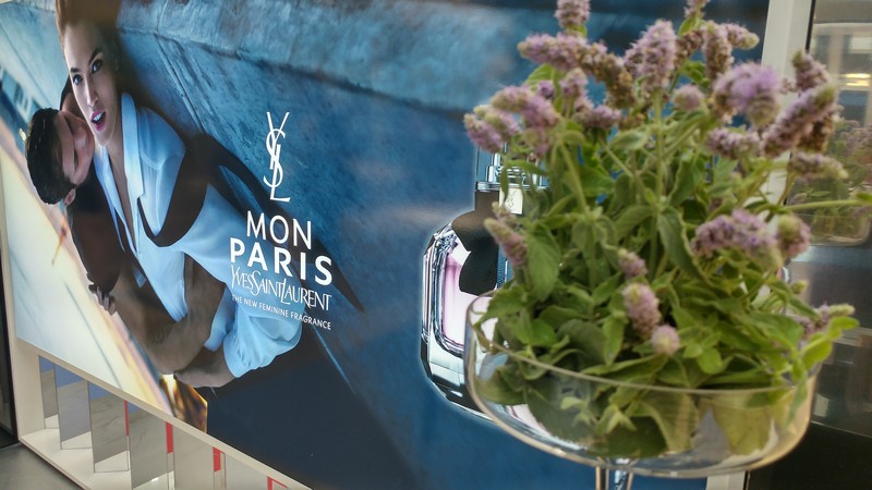 Fly to Paris with YSL